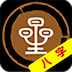 天星八字